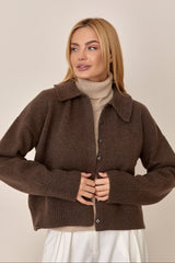 #color_chestnut brown